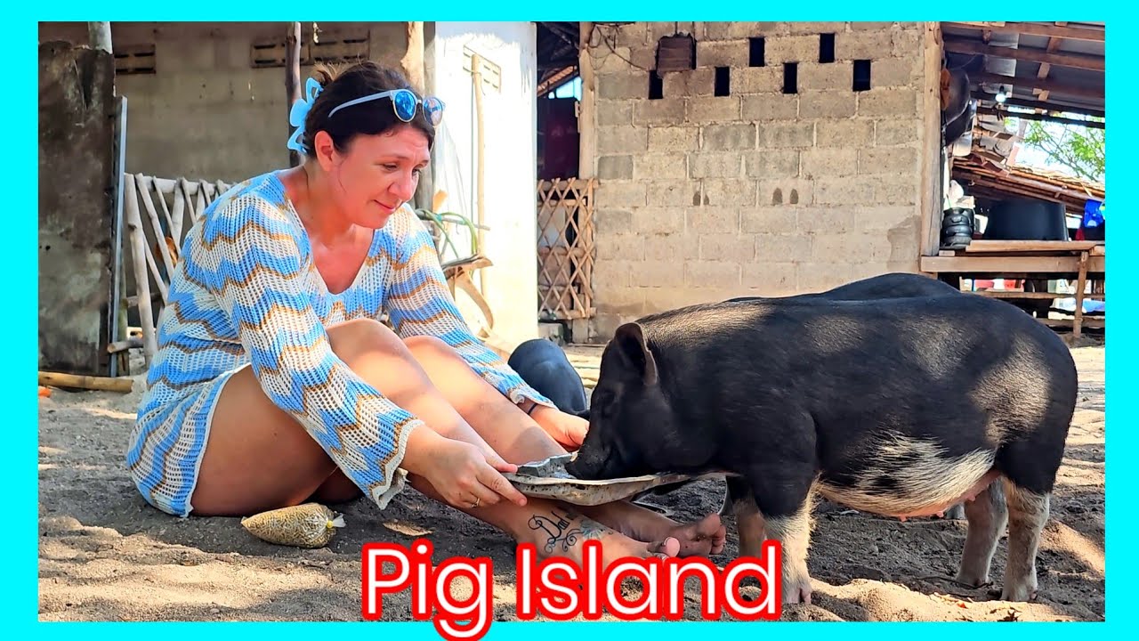 Pig Island Paradise Found in THAILAND!