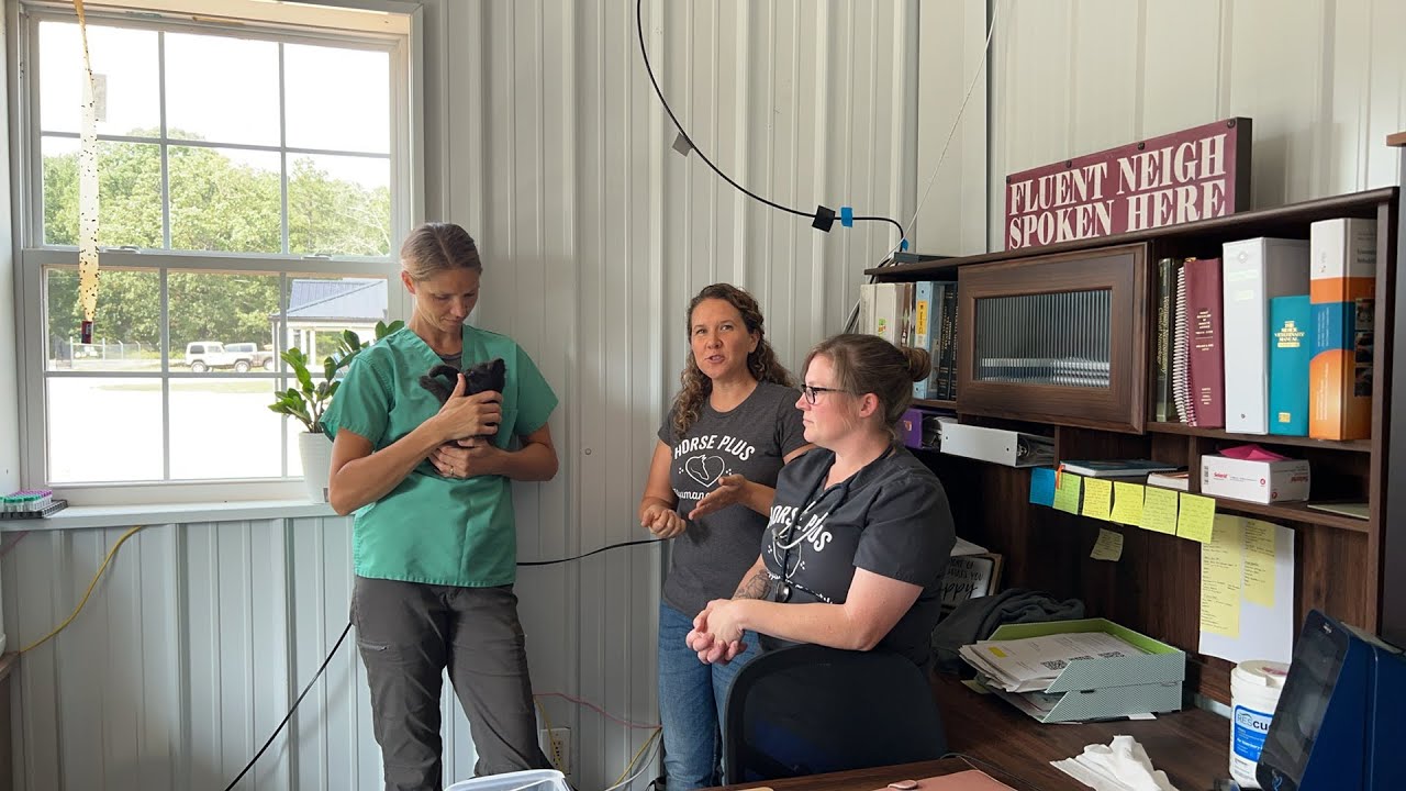 Horse Plus Humane Society is live!