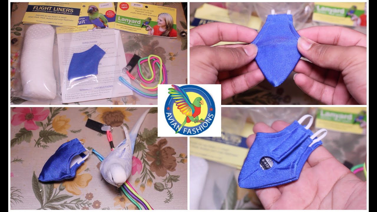 Avian Fashions: Budgie Parakeet Flight Suit/Diaper - Unboxing [HD]