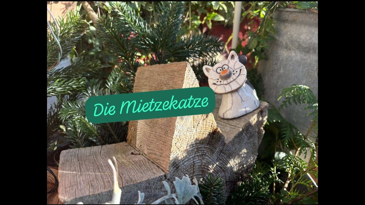 Ausgestochen gut 11. Die Mietzekatze