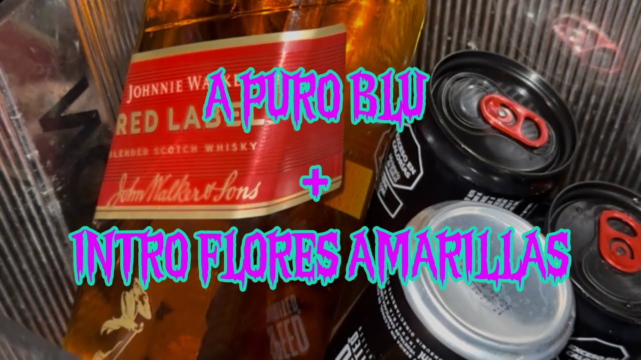 A PURO BLU + INTRO FLORES AMARILLAS // WISH 