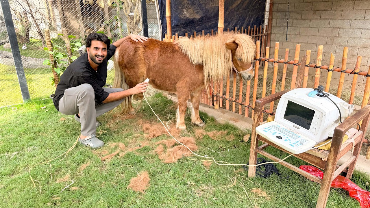 Akhir Pta Lga Gea Aj😍 Mubark Ho Sab Ko Bacha Any Wala Hai❤️