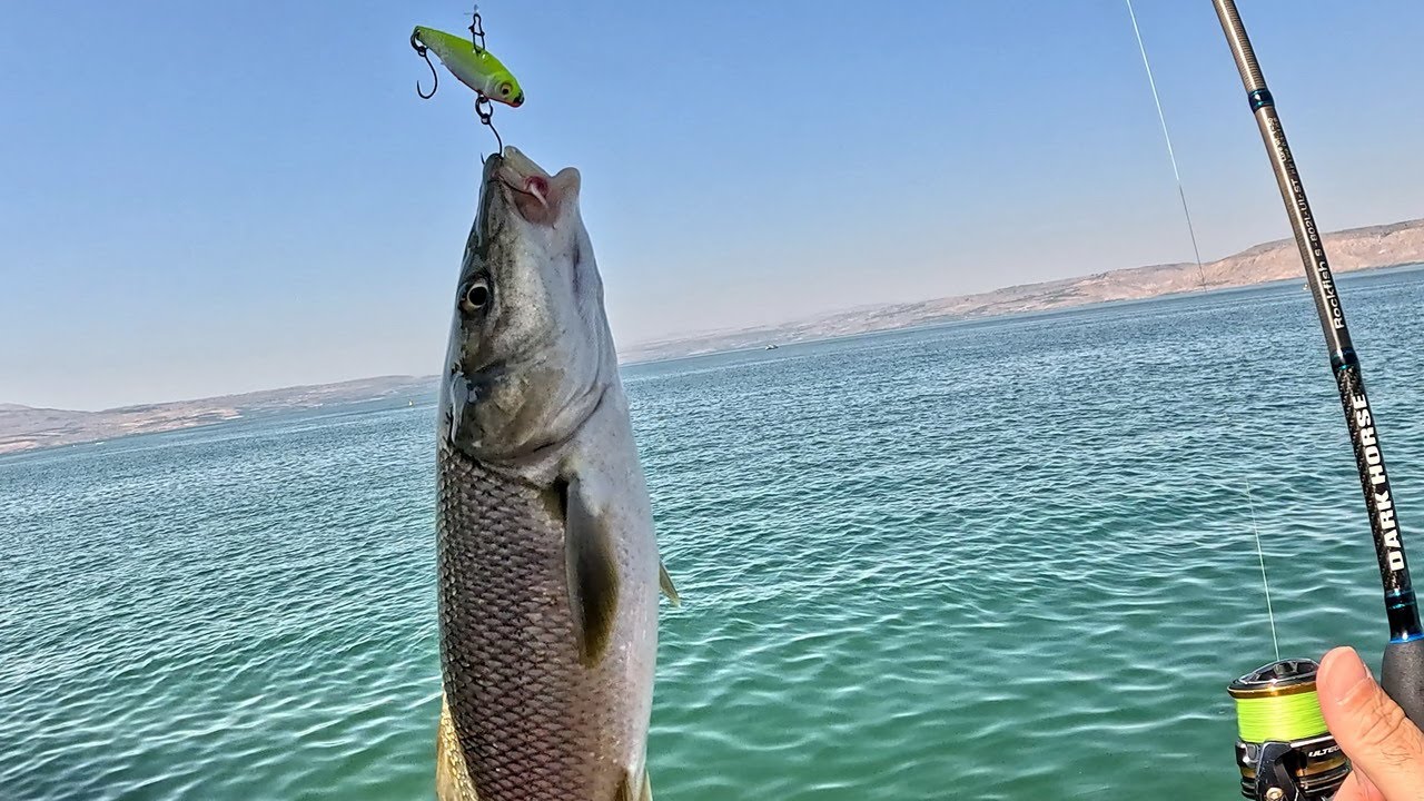 סשן של ביניות ארוכות ראש באולטרה לייט בכנרת🐟Jordan barbel in UL fishing at Sea of Galilee HE/EN Subs