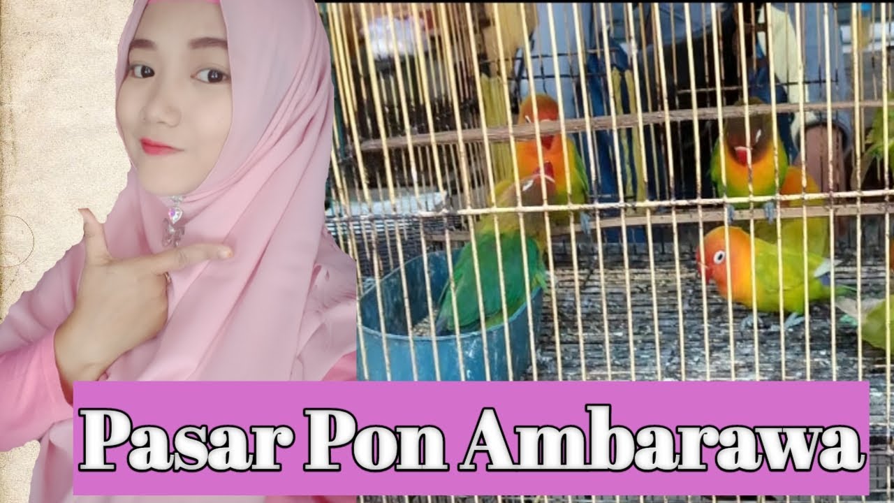 Pasar hewan ambarawa terbaru || pasar ngepon ambarawa bawen
