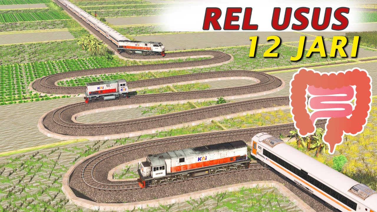 Apa Yang Terjadi Jika Kereta Melewati Rel Usus 12 Jari