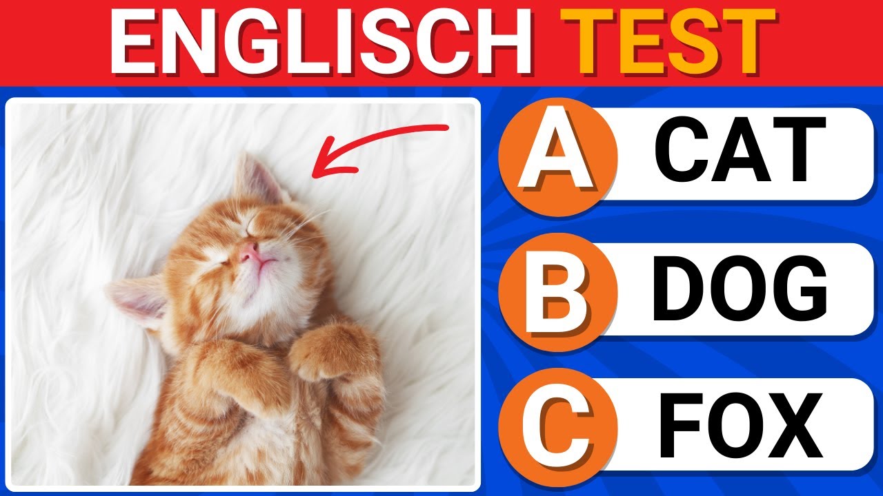 Englisch Test | Schaffst du es, alle 50 Wörter zu erraten? | Leicht | Mittel | Schwer | Extrem
