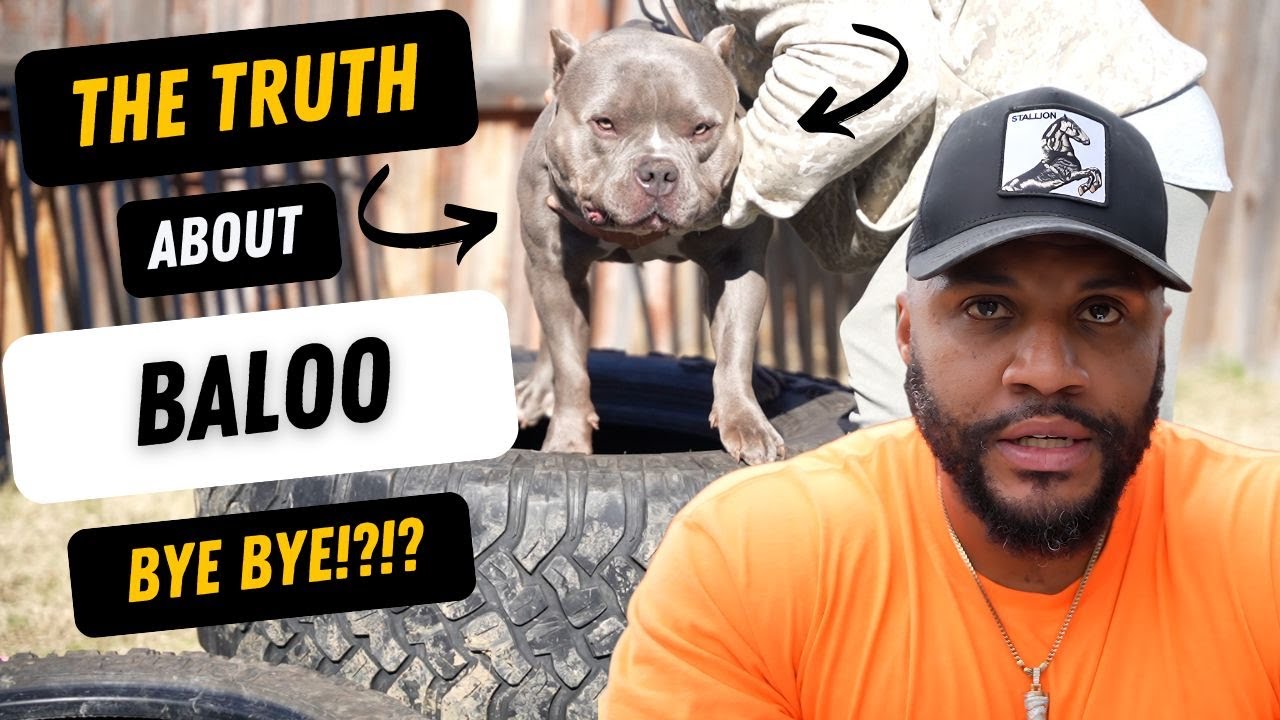 Bye Bye BALOO!?!?! It's Time for Him TO GO!!! (UPDATE)