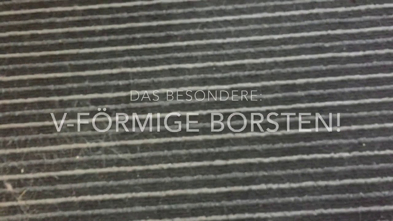 Prowin V7 Käfer Karl -Bürste