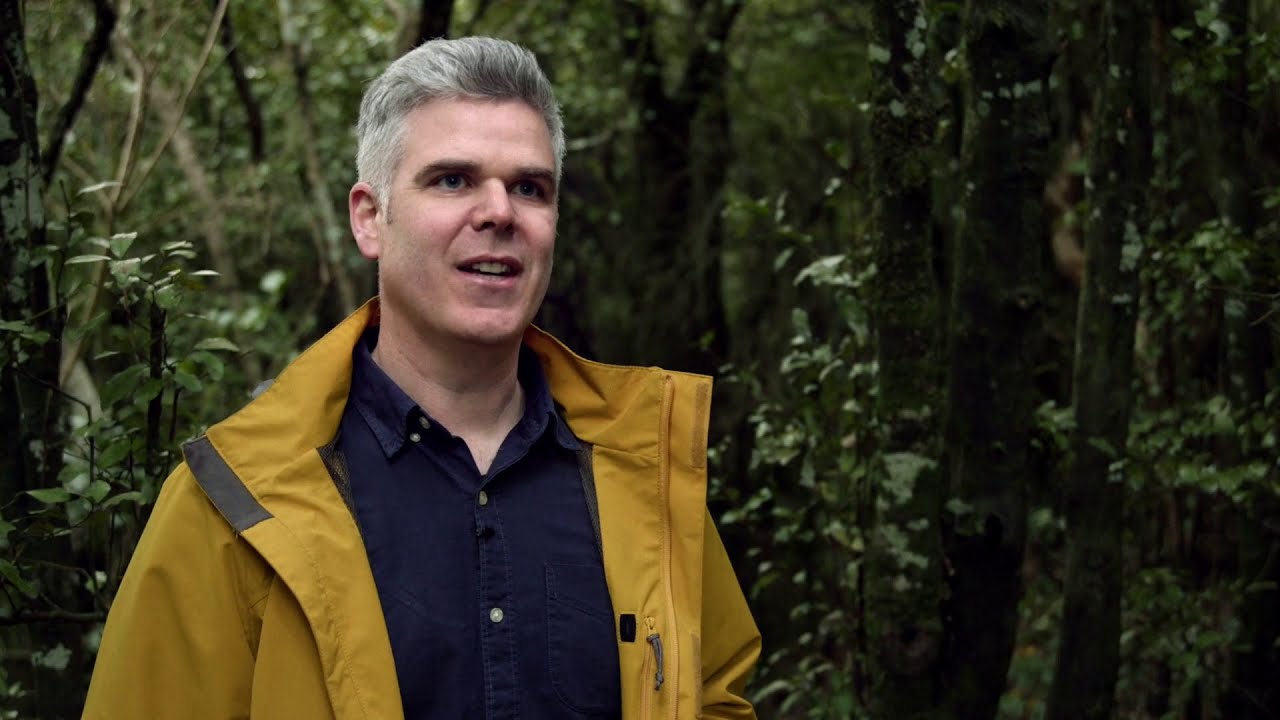Why Study forestry at the Universisty of Canterbury?