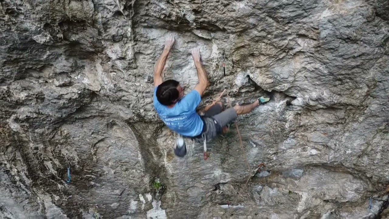 Kotečnik Guernica 8a