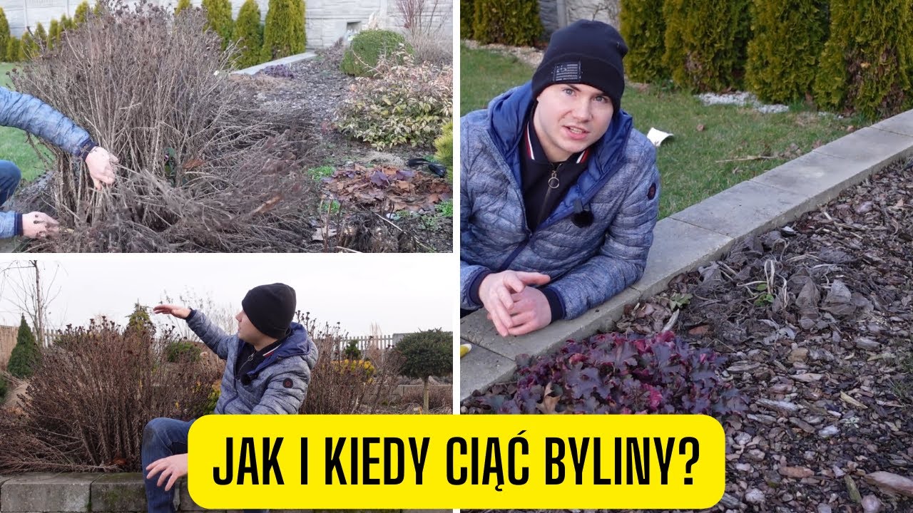 Jak i kiedy przycinać byliny? Wiosna czy jesień &ndash; najlepszy czas na cięcie