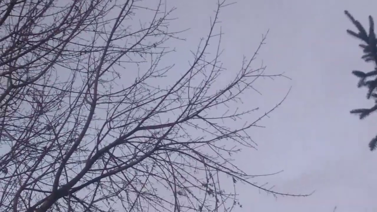 Bell 429 globalranger helicopter flying over my house at sunset again most viewed video