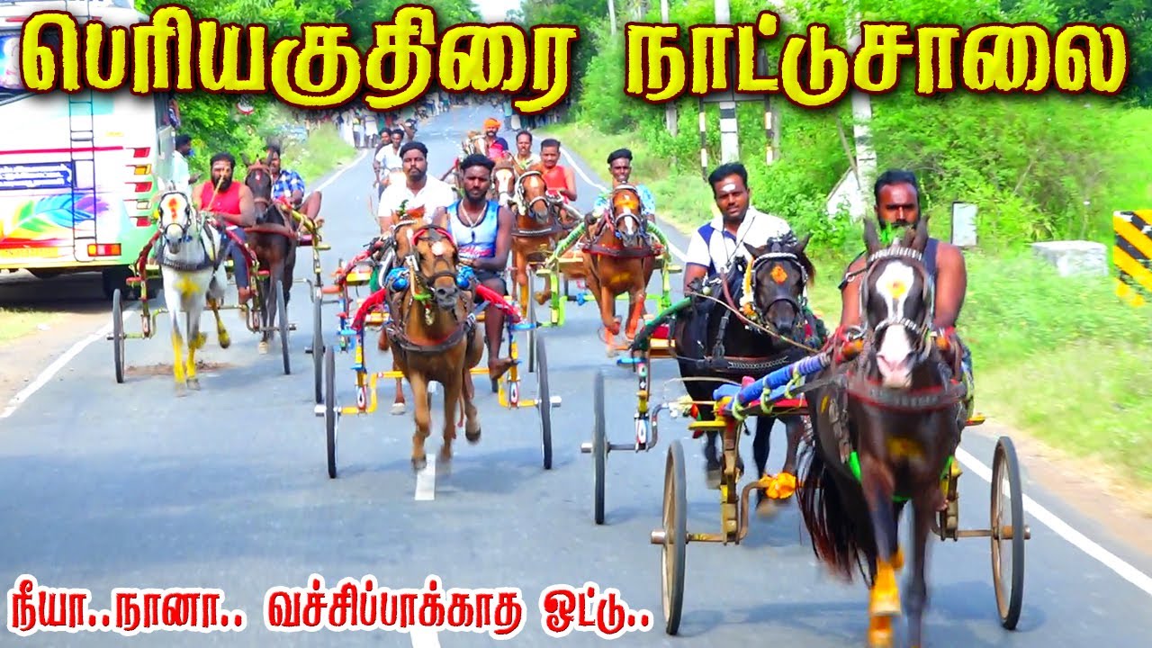 தஞ்சாவூர் மாவட்டம் நாட்டுசாலை பெரியகுதிரை பந்தயம் 15,05,2025
