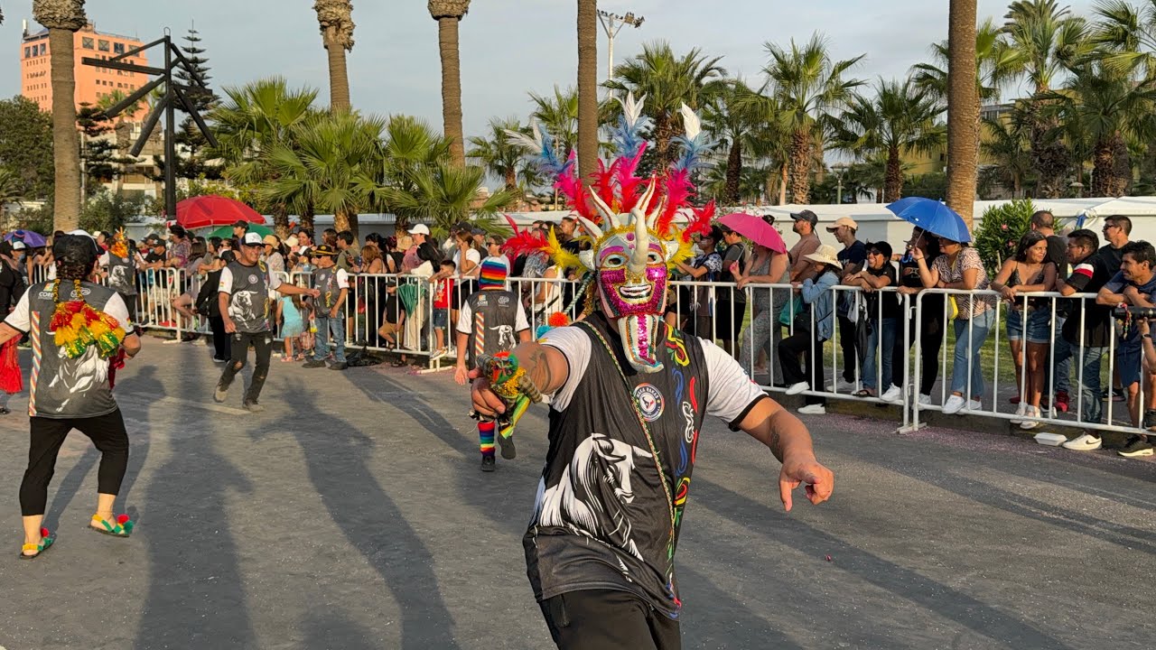 🎊🎺Waka Wakas Residentes Bolivianos ~ Convite Carnaval de Arica 2025🎊🎺