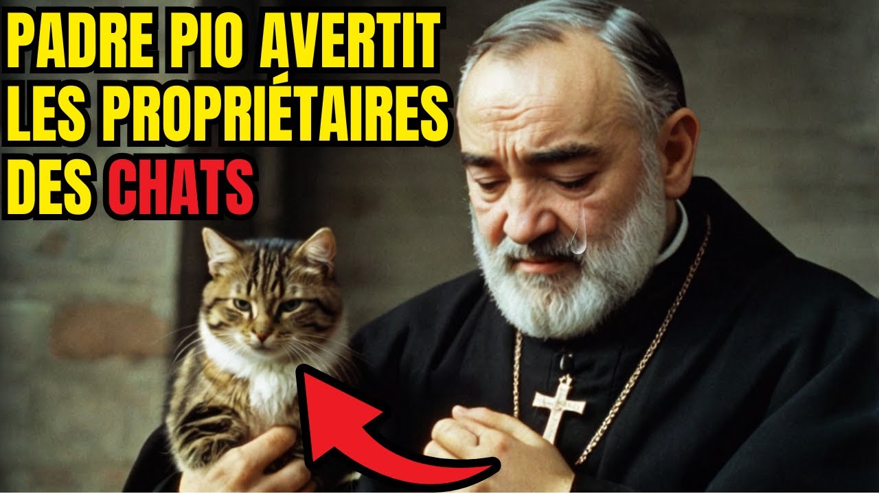 PADRE PIO a révélé le DESTIN de ceux qui ont un CHAT À LA MAISON - La Prophétie A COMMENCÉ !
