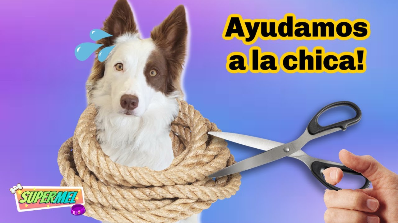 AYUDAMOS a la CHICA y le SALVAMOS la VIDA! Mel Gamer