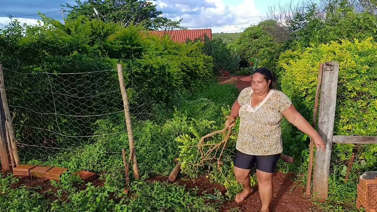 Parte 3/ Limpando o quintal, Dão roçou aqui tudo, ficou bom demais 