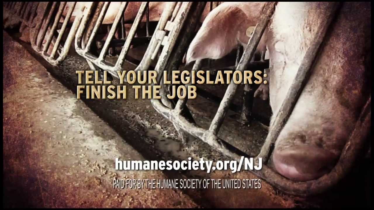 Ban Gestation Crates: HSUS TV Ad in New Jersey