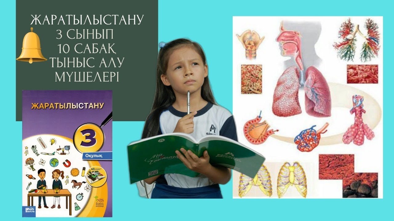 Жаратылыстану  3 сынып, 10 сабақ|Тыныс алу мүшелері