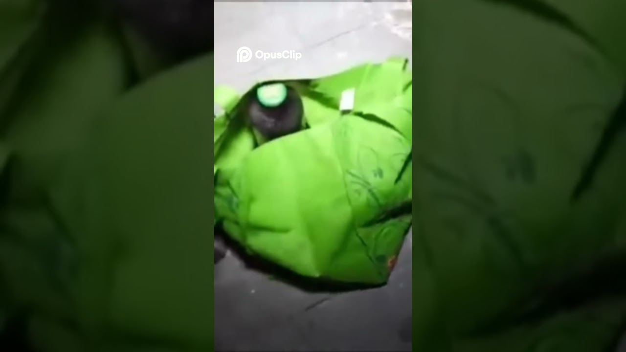 El antiguo edificio  ¿Qué encontró Dan Bell  ¡Impactante!