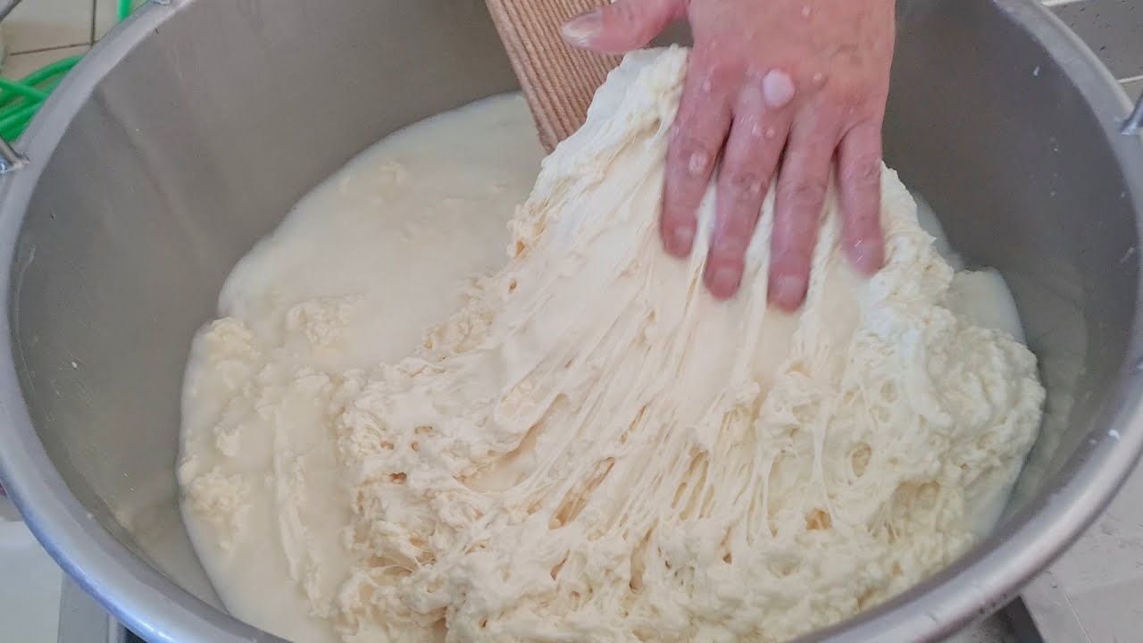 How Mozzarella Cheese Is Made