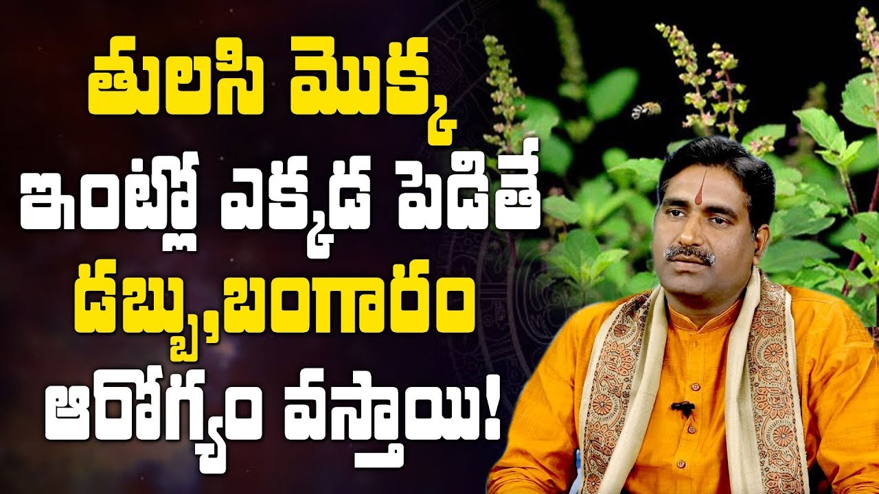 ఇంట్లో తులసి మొక్క ఎక్కడ ఉండాలి ? | Tulasi Mokka Importance | Effects Of Tulasi | Mcube Devotional