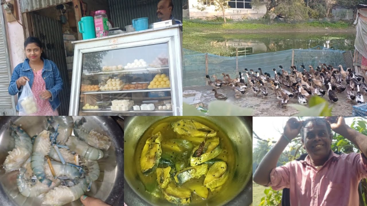 মা বাবা সবাই মিলে ঘুরতে এসেছি।জায়গাটা খুব সুন্দর।  ঝাকে ঝাকে হাঁস একসাথে ঘুরে বেড়াচ্ছে। 
