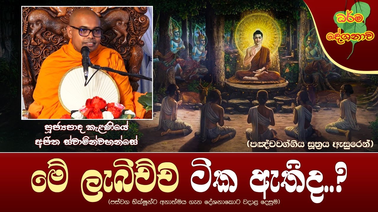 Ven Kelaniye Ajitha Thero| 2024-10-28 | 6:30AM (මේ ලැබිච්ච ටික ඇතිද..?)