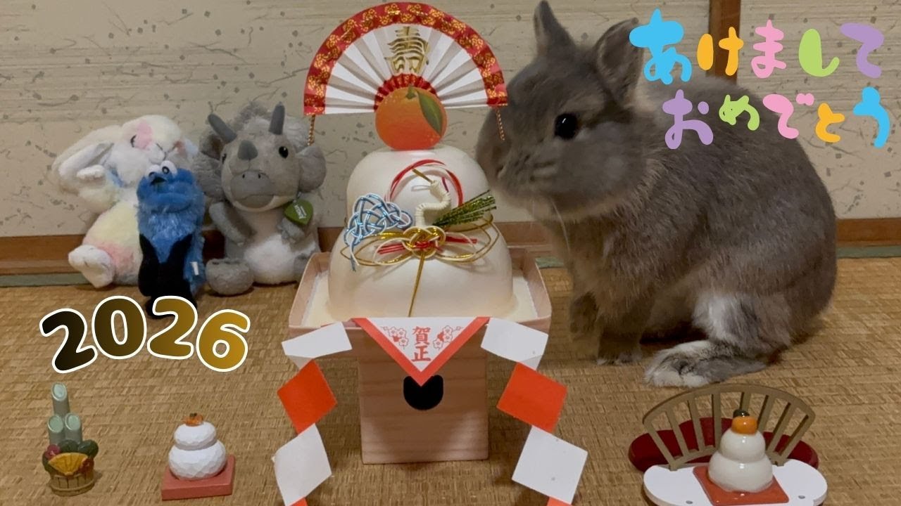 【No.121】ころんも帰省し年越し＆お正月★家族や親戚、友達と大賑わいの４日間♪