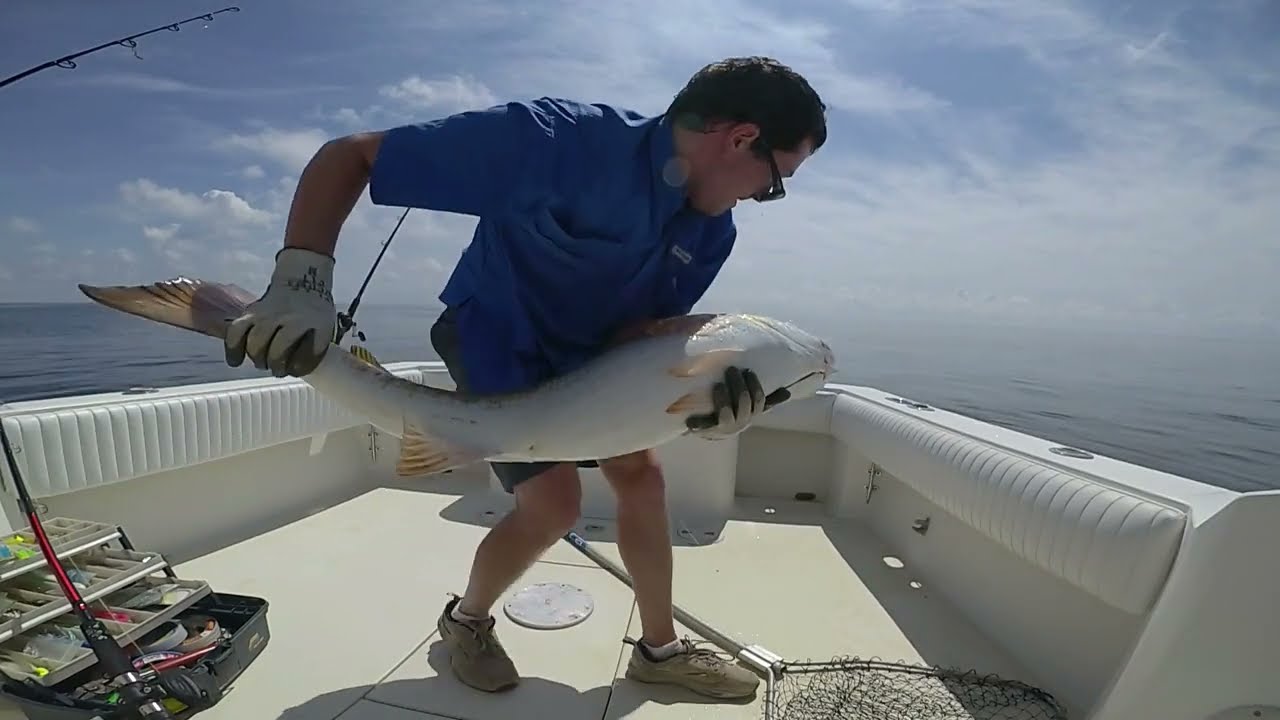 Chesapeake Bay Drum Fishing on a Carolina Classic 25