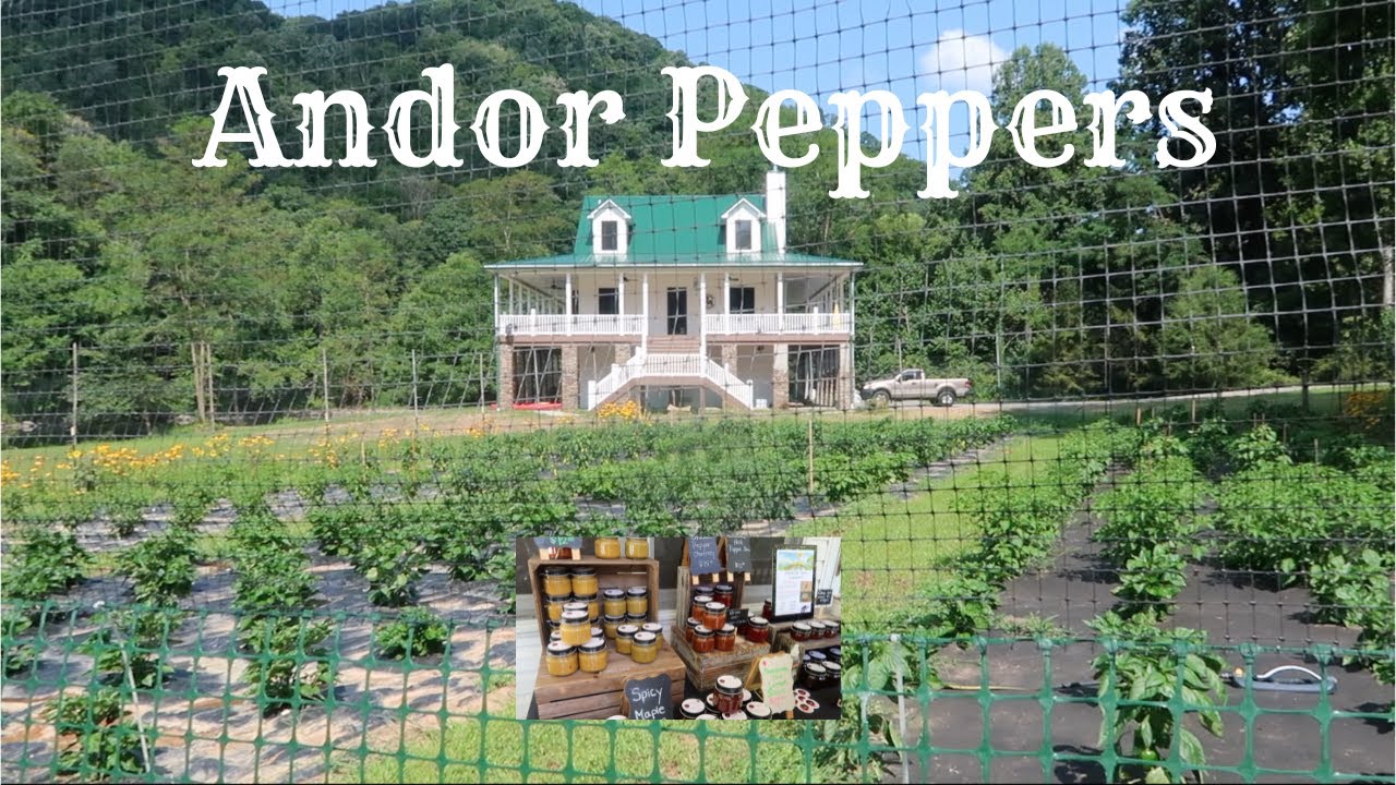 Andor Peppers Farm Crawl