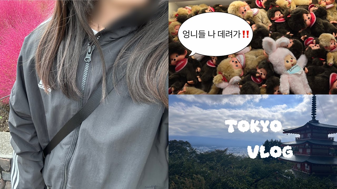  몬치치 찾아 삼만리 도쿄 여행 🧳😍| 디즈니씨 | 브라이튼 호텔 | 돈키호테 | 도쿄 | 13년생 | 후지산 투어 | 몬치치 | 덕질 | 비즈니스 | 대한항공 | 추천 | 구독