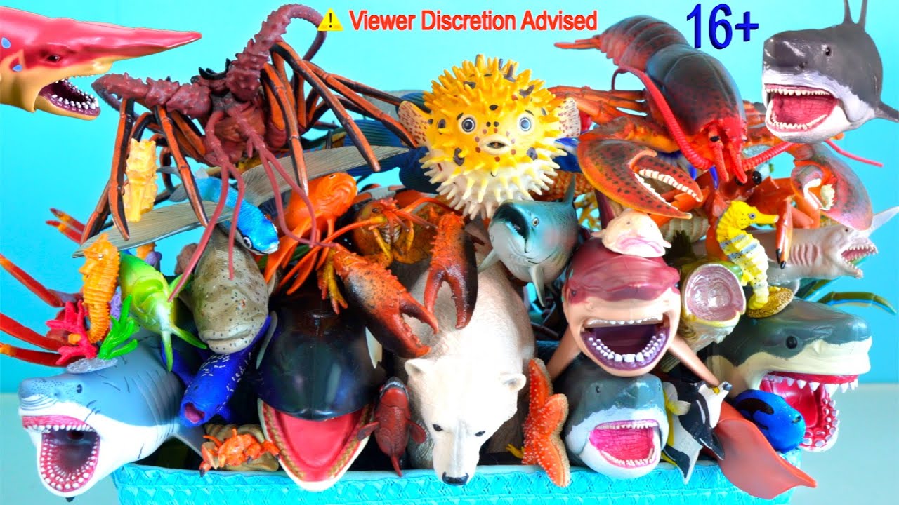 НОВИНКА: 104 морских животных - акулы, киты, рыбы, моллюски, головоногие, ракообразные, черепахи 16+