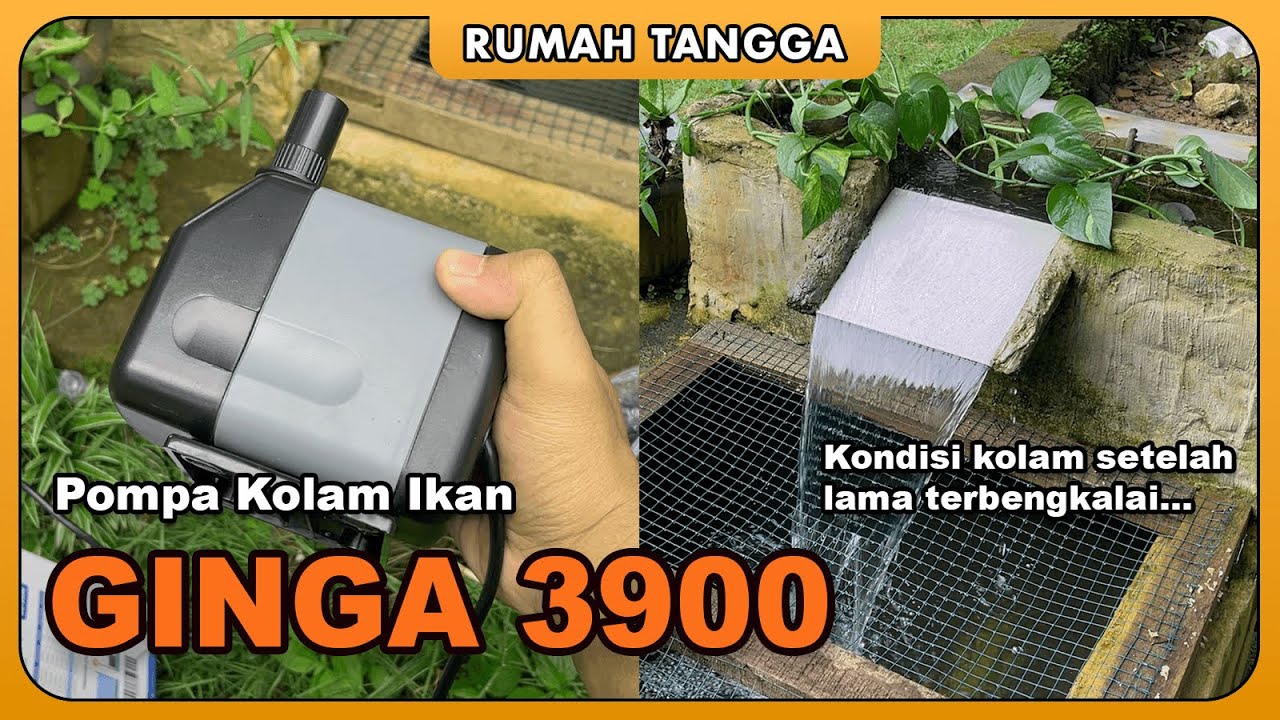 Mesin Pompa/Filter untuk Kolam Ikan ukuran 2.5 Meter | Ginga 3900 apakah alirannya kencang?