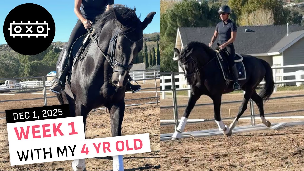 First Week With My KWPN 4-Year-Old Horse | Green Dressage Horse, First Rides, and Honest Progress