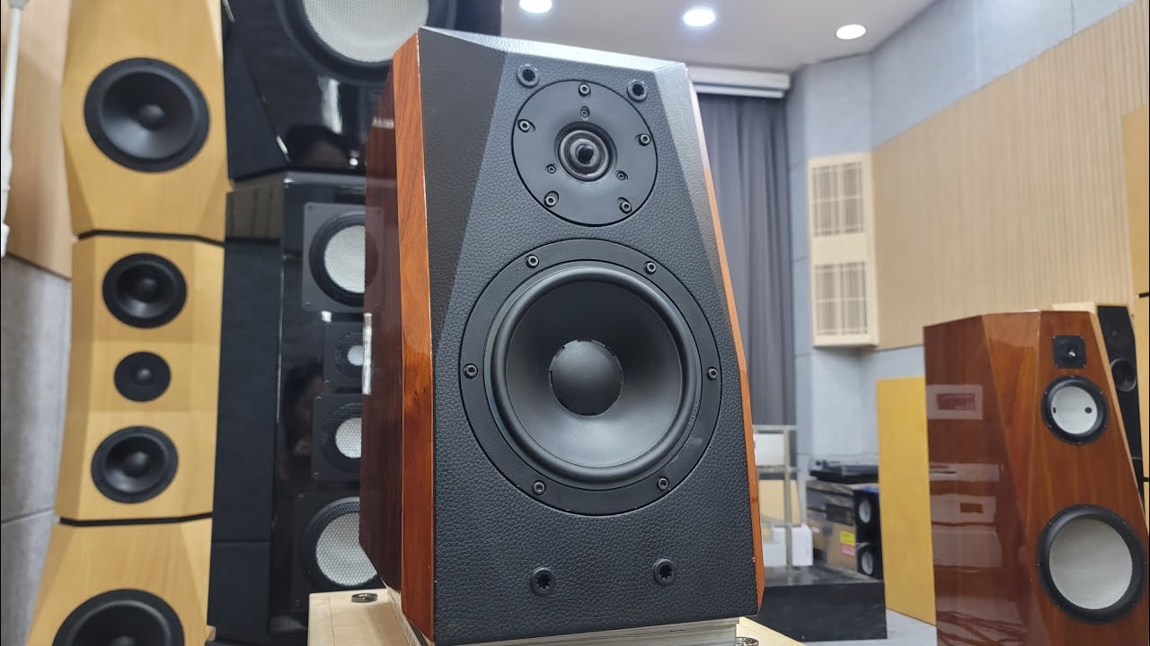 Vifa  Xt25TG /12년전에 마루치님이 튜닝했다는 2웨이 스피커,  음 ~~~^^