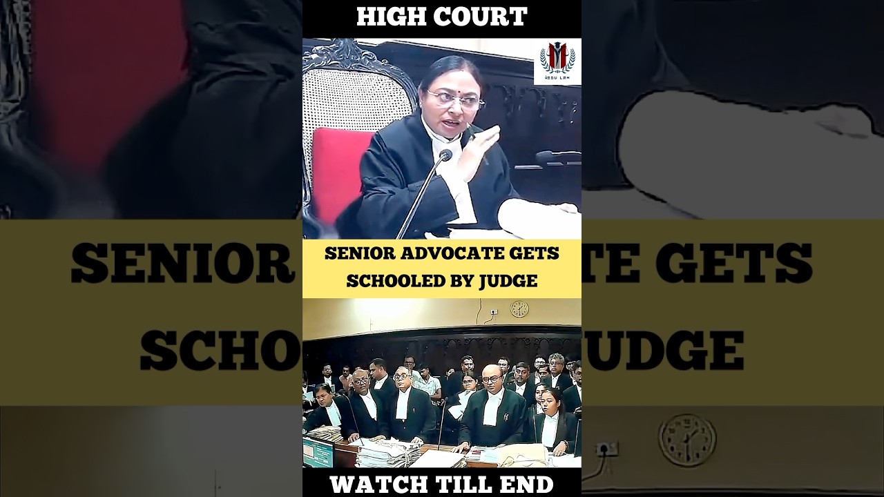Senior Advocate gets Schooled by Judge #judge #highcourt #advocate #shortvideo