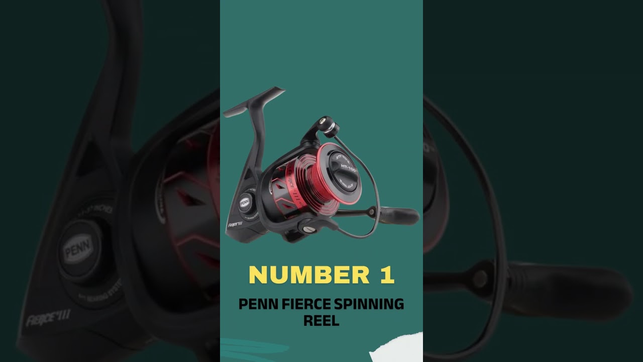 ✳️Best Saltwater Spinning Reels Under $100 | Top 5 Picks #shorts