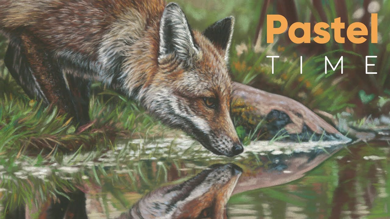 Painting a Fox in Soft Pastel on Velour - Timelapse