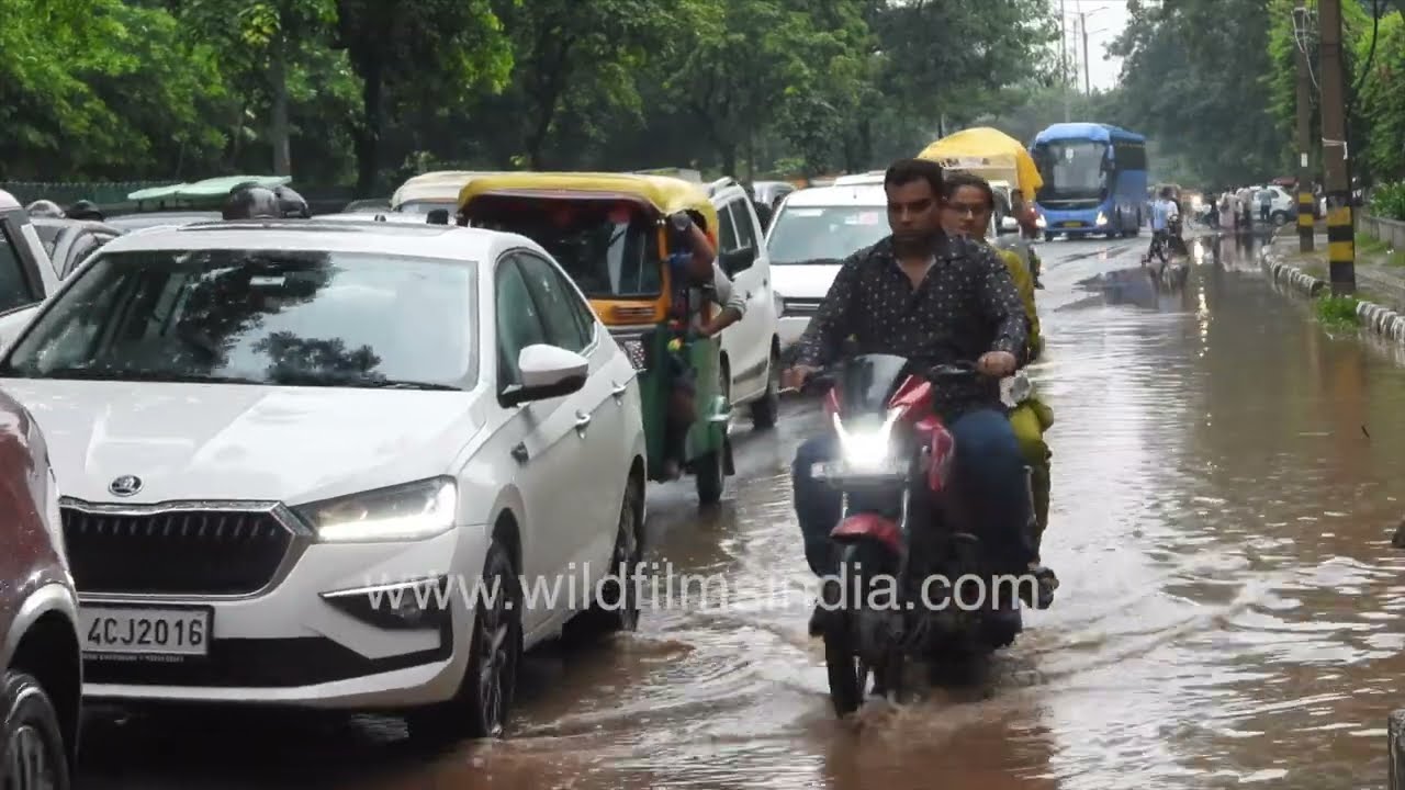 Delhi drags through the monsoon, with flooded roads and heavy traffic jams, stagnant pools of water