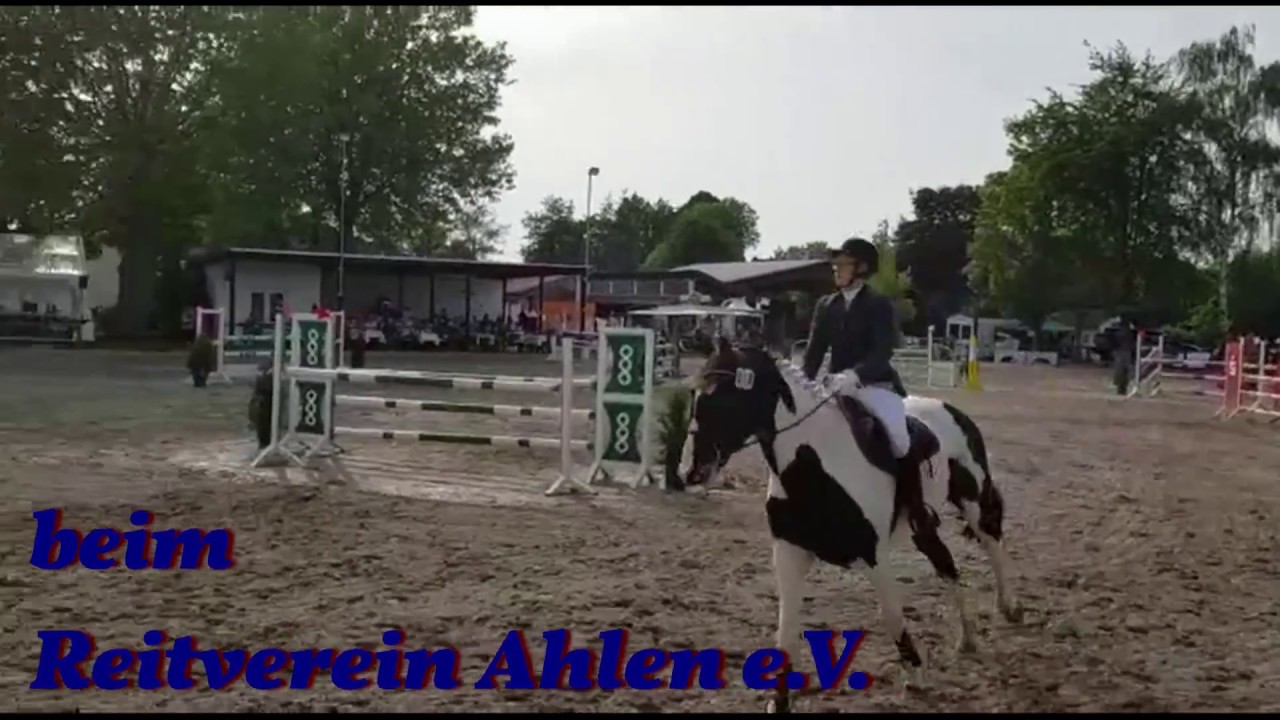 Stilspringprüfung Klasse L, Ahlen Mai 2018