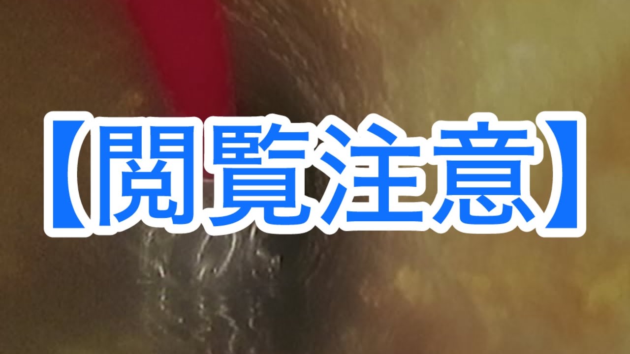 【閲覧注意】汚水管に付着するタール便をフレックスシャフトでめくって行きます♪