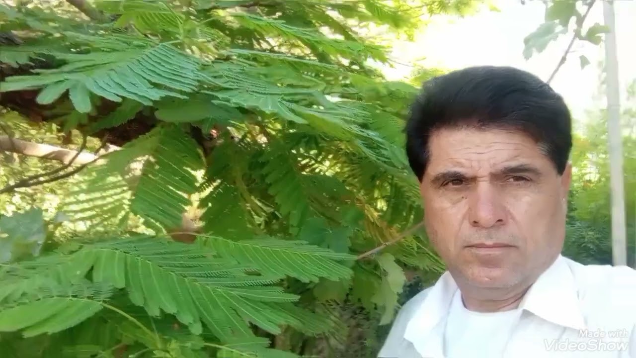 17/7/2025 ليس الغريب  لحن حزين