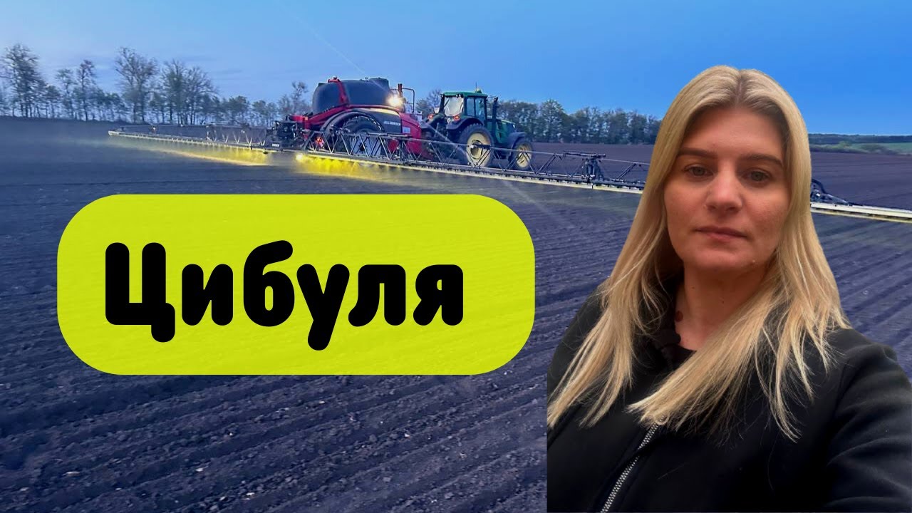 Вирощування цибулі. Посів та внесення грунтового гербіциду