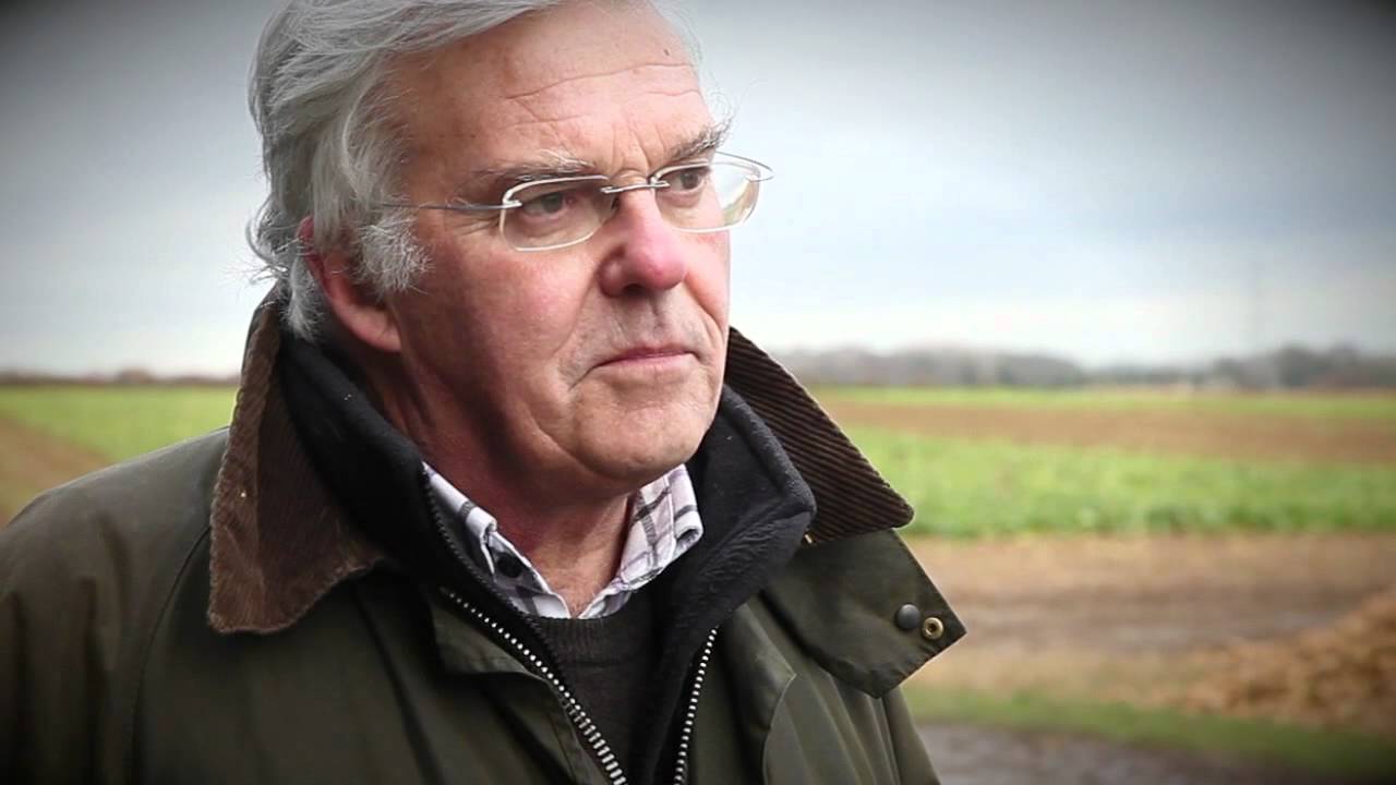 Whole Beet Delivery Standards