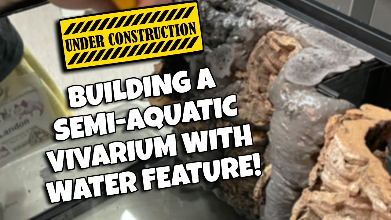 Building a Semi-Aquatic Vivarium with a Water Feature! - PT 1