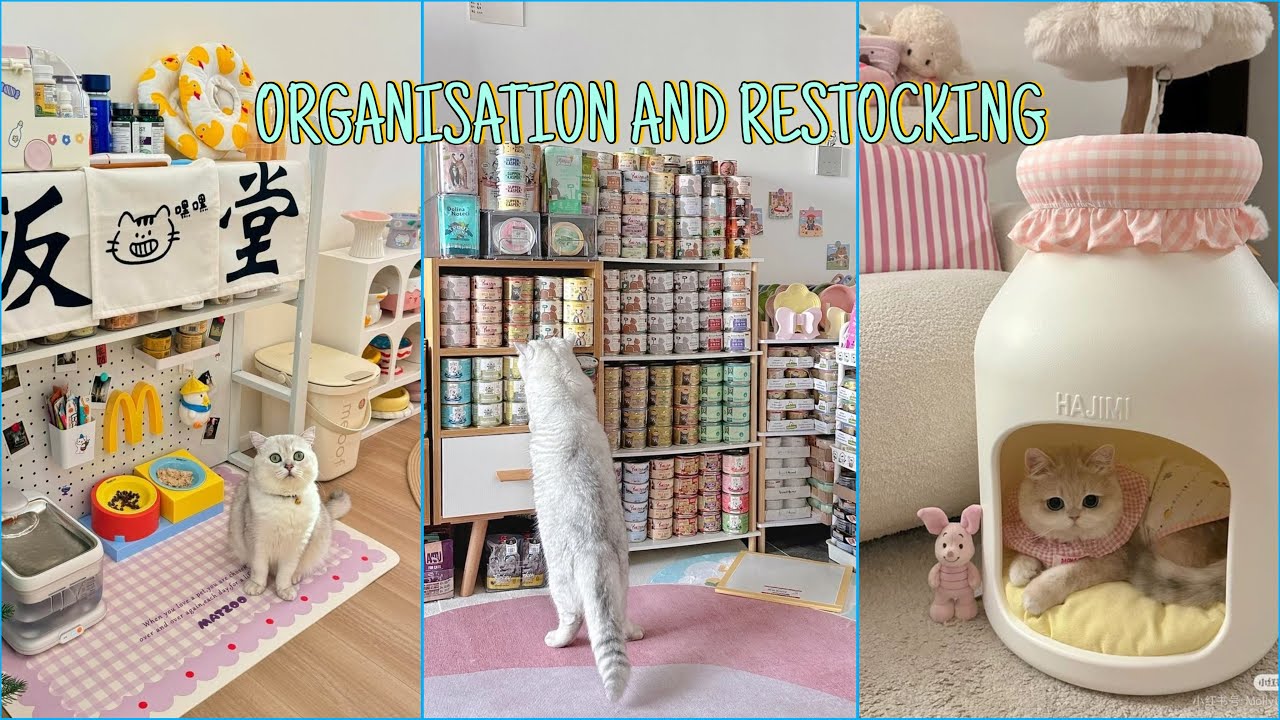 PET CORNER ORGANIZATION 🐱 + SKINCARE RESTORATION 🧴 | Satisfying Home Reset