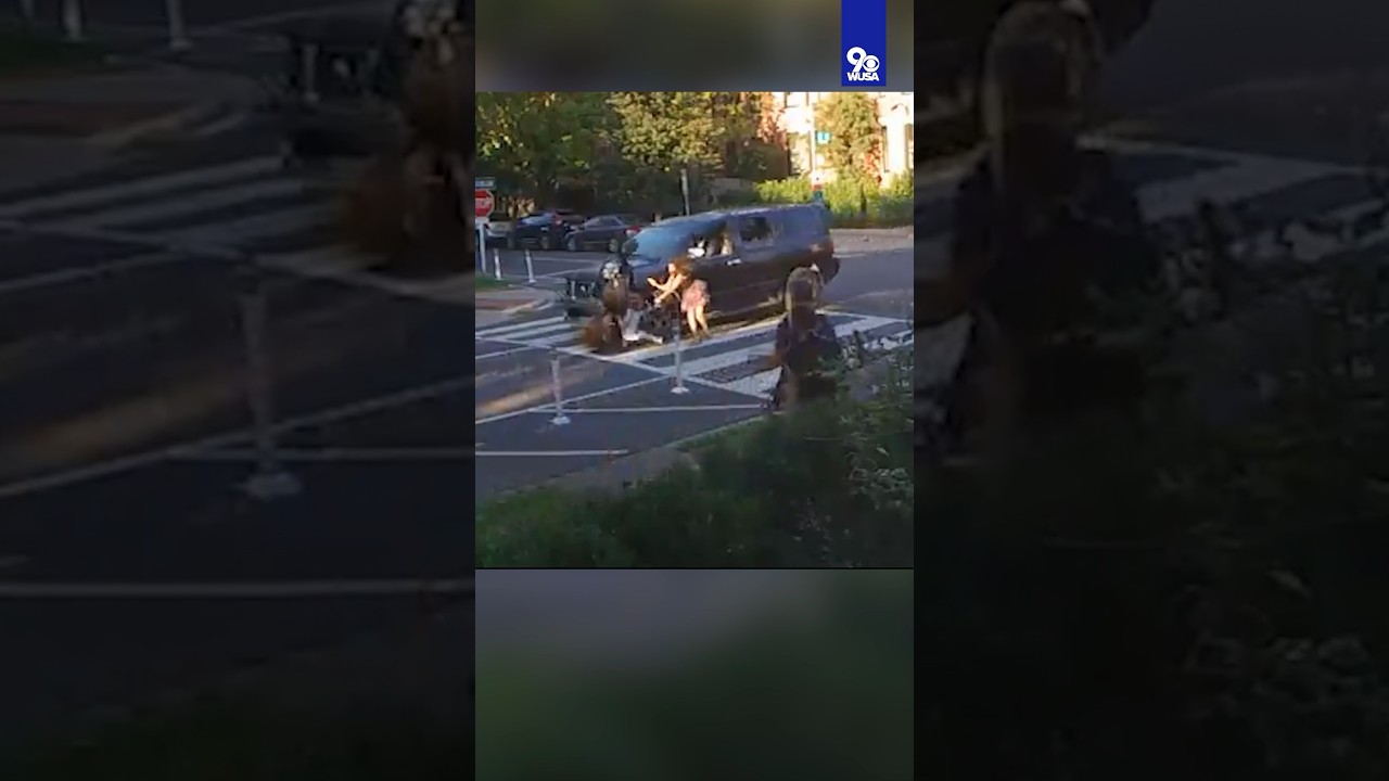 VIDEO: Family struck by SUV during hit-and-run