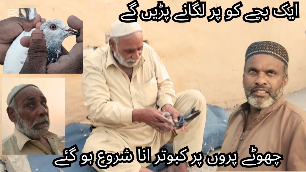 ایک بچے کو پر لگانے پڑیں گے😇