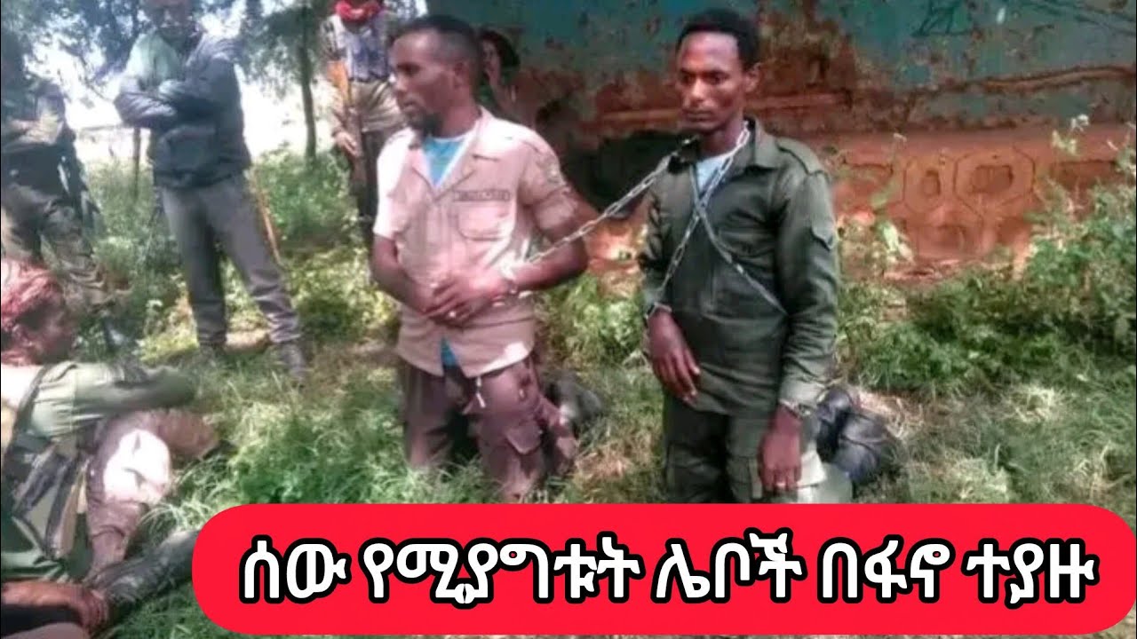 ሰበር ዜና - ፋኖ በፋኖና በፖሊስ ማሊያ የሚሰርቁትን ሁለት ሰው አጋች ሌቦች በቁጥጥር ስር አዋለ #fano 